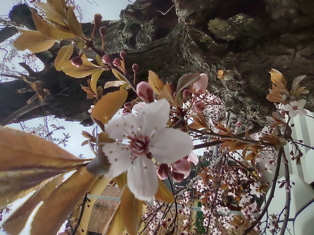 No s'ha trobat l'arxiu